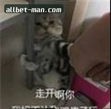 陈先生